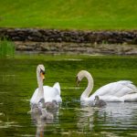 鱼乐体育平台注册流程详解,轻松开启你的运动之旅 0i9jjx3x3w