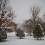 问鼎娱乐网页使用指南:畅享游戏与娱乐的最佳体验 8m7axt