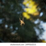 130期开奖资料全面汇总与深度解析 03s34sewed