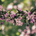 31号3d开奖结果最新公布,快来看看你中奖了吗? 0v4va0hk