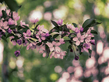 31号3d开奖结果最新公布,快来看看你中奖了吗? 31号3d开奖结果最新公布,快来看看你中奖了吗?