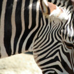 318期开奖号前后关联走势深度解析 agjq3b0ut