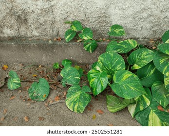 130期3D开奖结果最新公布，中奖号码全面揭晓