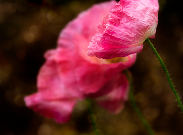 31678期开奖结果公布,幸运号码震撼揭晓 31678期开奖结果公布,幸运号码震撼揭晓