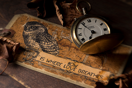 12选五开奖结果走势图最新数据分析与图表展示 12选五开奖结果走势图最新数据分析与图表展示