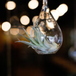 31体育彩票最新开奖结果查询与中奖号码公布 lfg8d