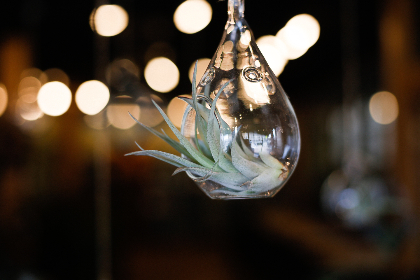 31体育彩票最新开奖结果查询与中奖号码公布 31体育彩票最新开奖结果查询与中奖号码公布