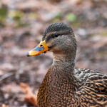 124福彩开奖最新结果与中奖号码查询 qql62