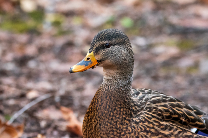 124福彩开奖最新结果与中奖号码查询