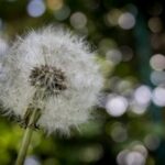 12选5最新开奖号码结果查询与历史数据分析 rzxz53