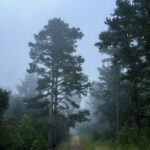 12乐彩最新开奖结果查询与中奖号码公布 ubtqiuh3um