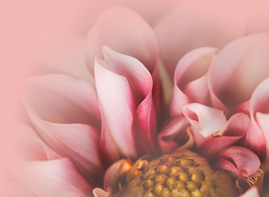 12月24日最新开奖号码及中奖详情公布